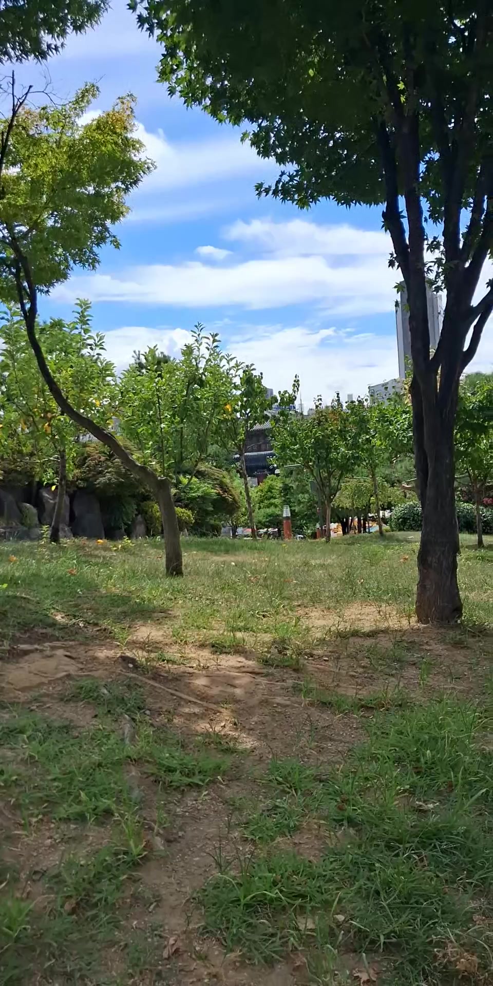 @Selynpr-KOREA🫶