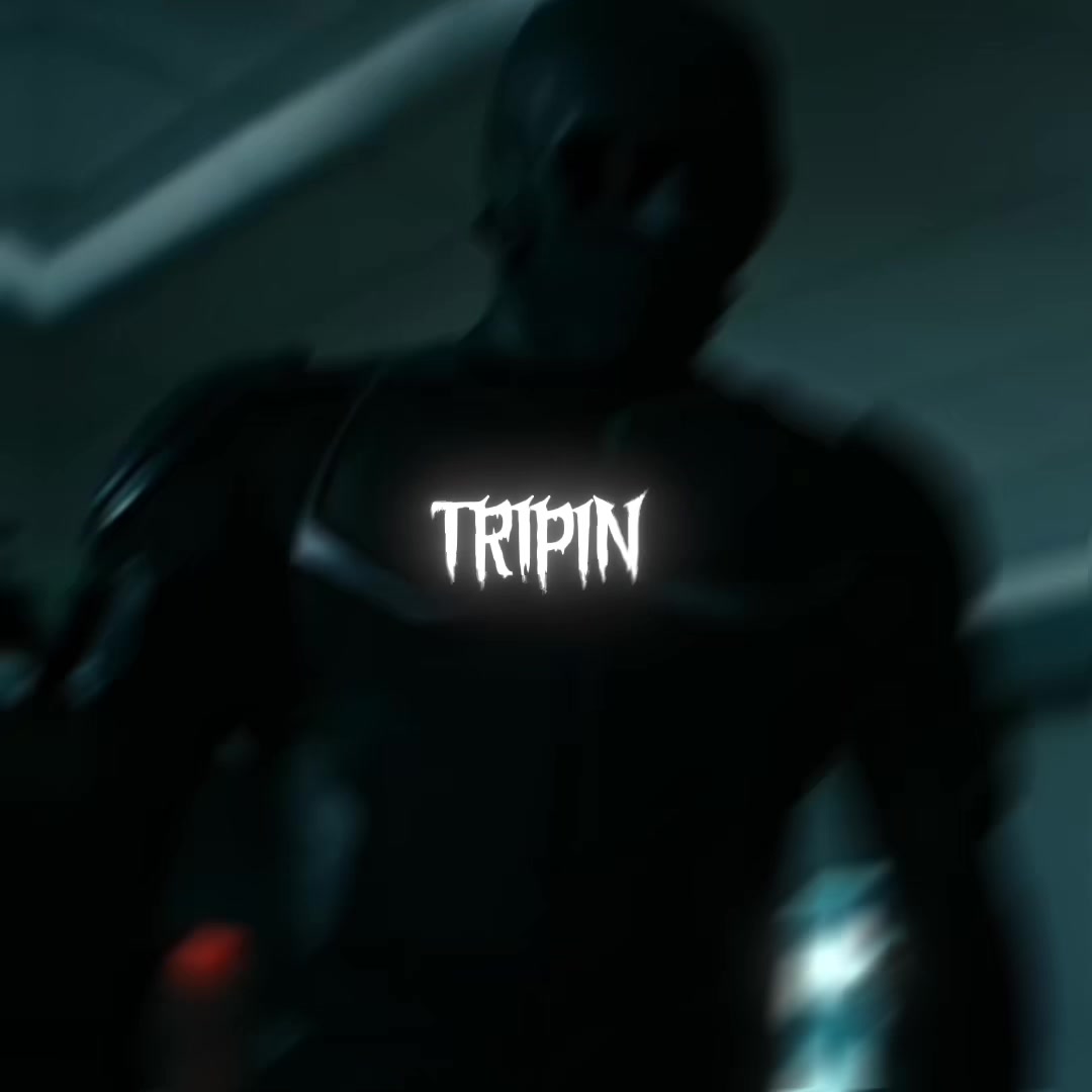 @bryce.trip1n