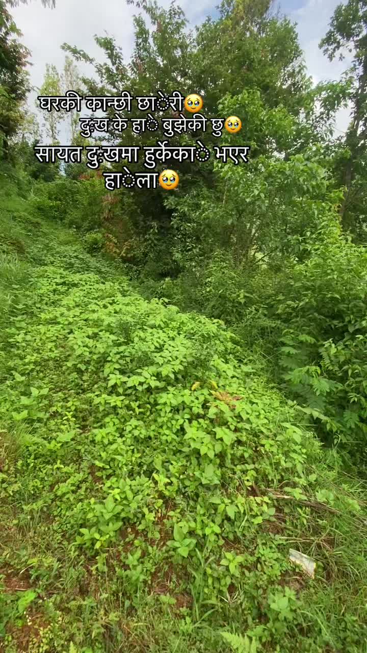 @Mrs_Pun🫶❣️