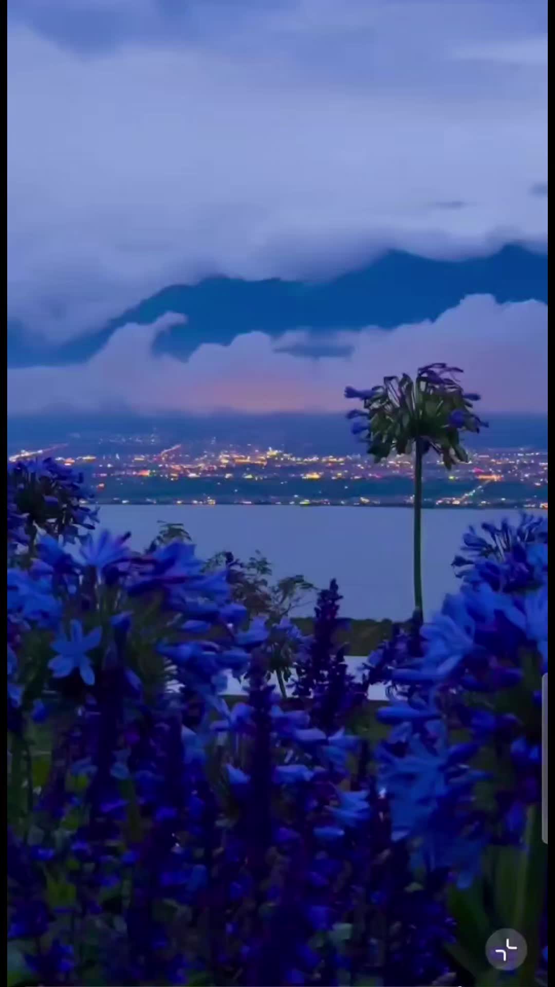 @tik🌠