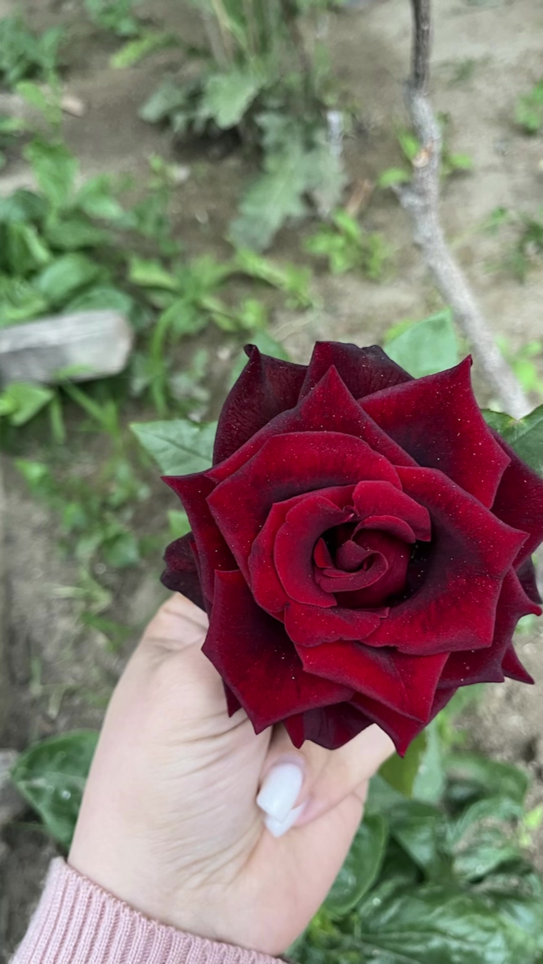 @R🌸