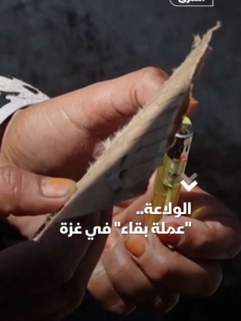 @Asharq News الشرق للأخبار