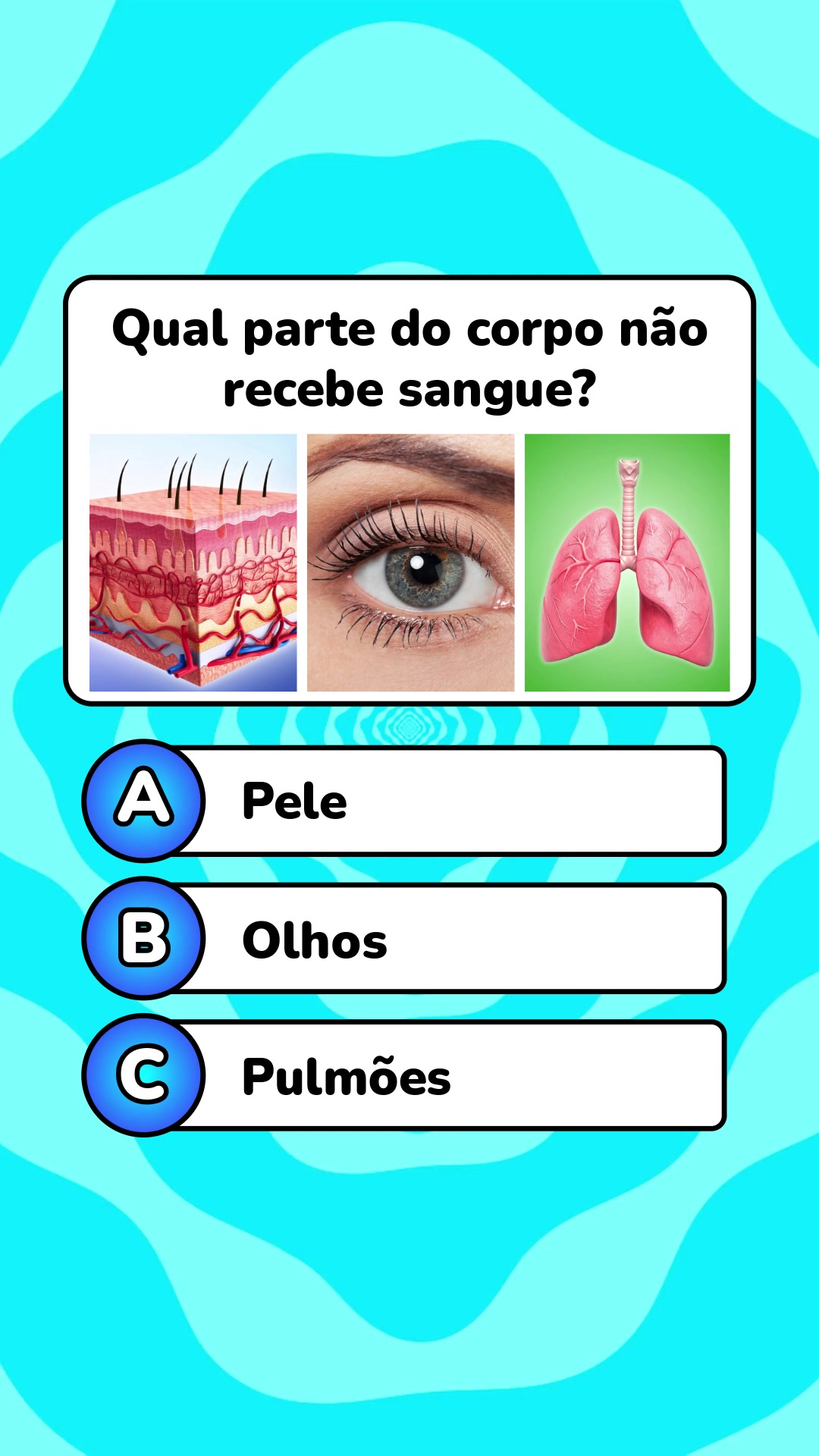@Quiz Lev
