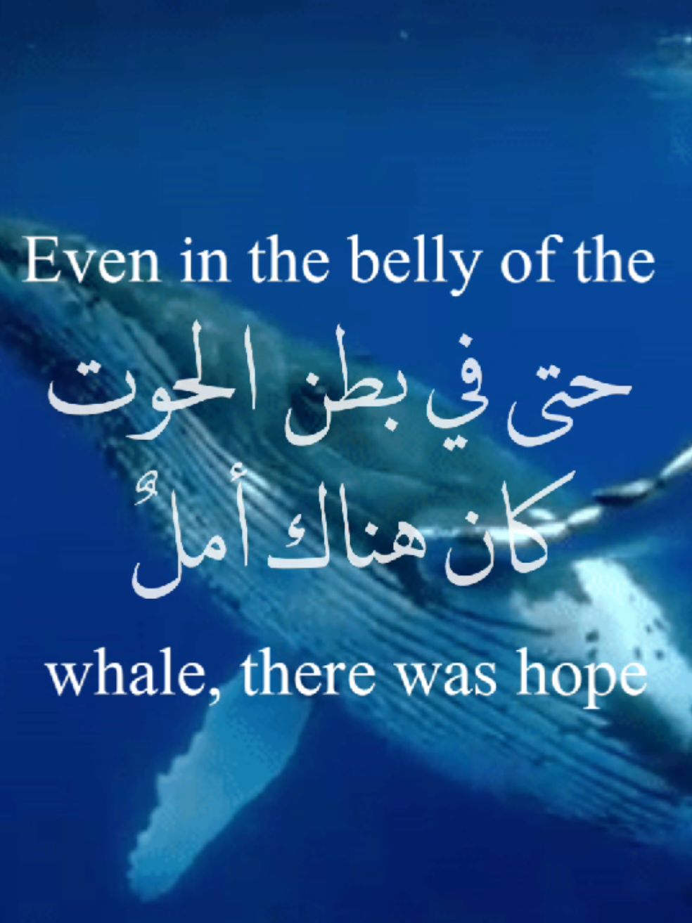 @حيدر