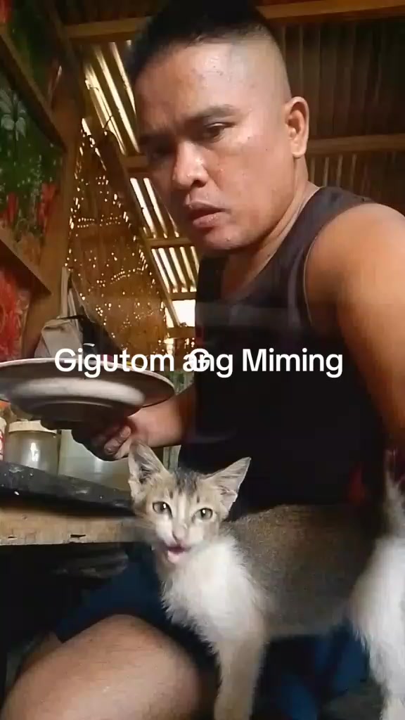 @wildedon vlog