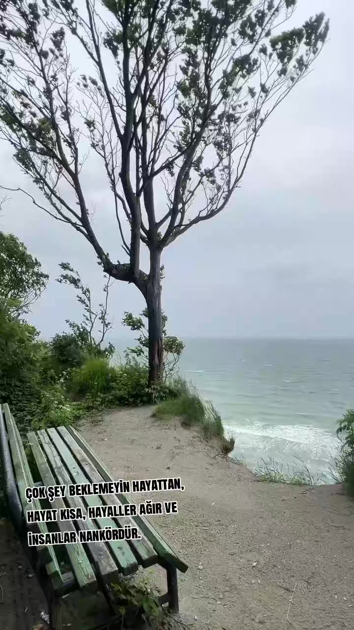 @★ⒺⓁⓘⓈⒶ★