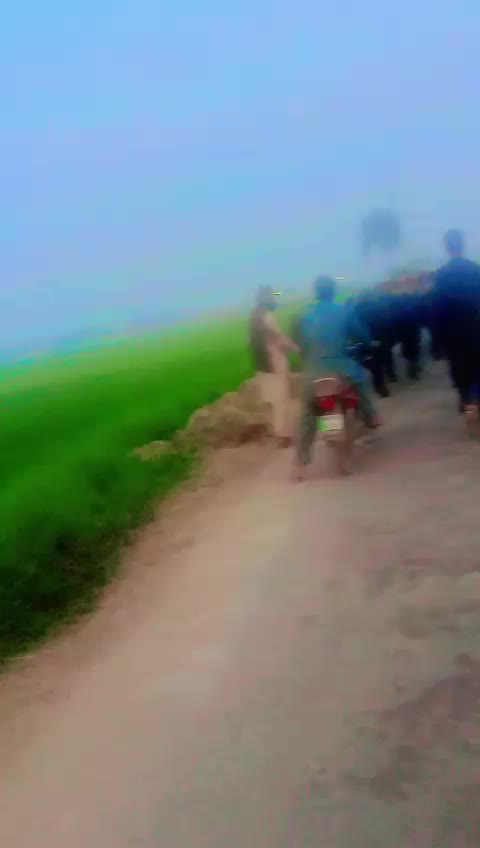 @mazharjani896
