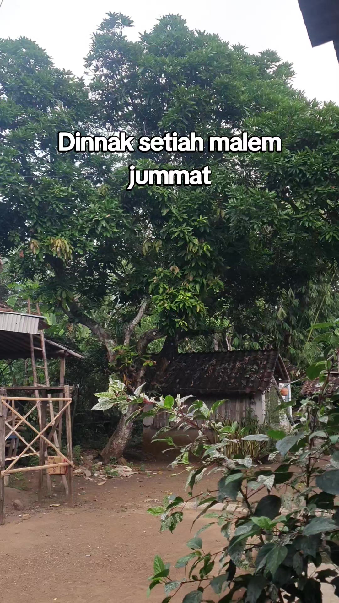 @T@RETAN PROBOLINGGO