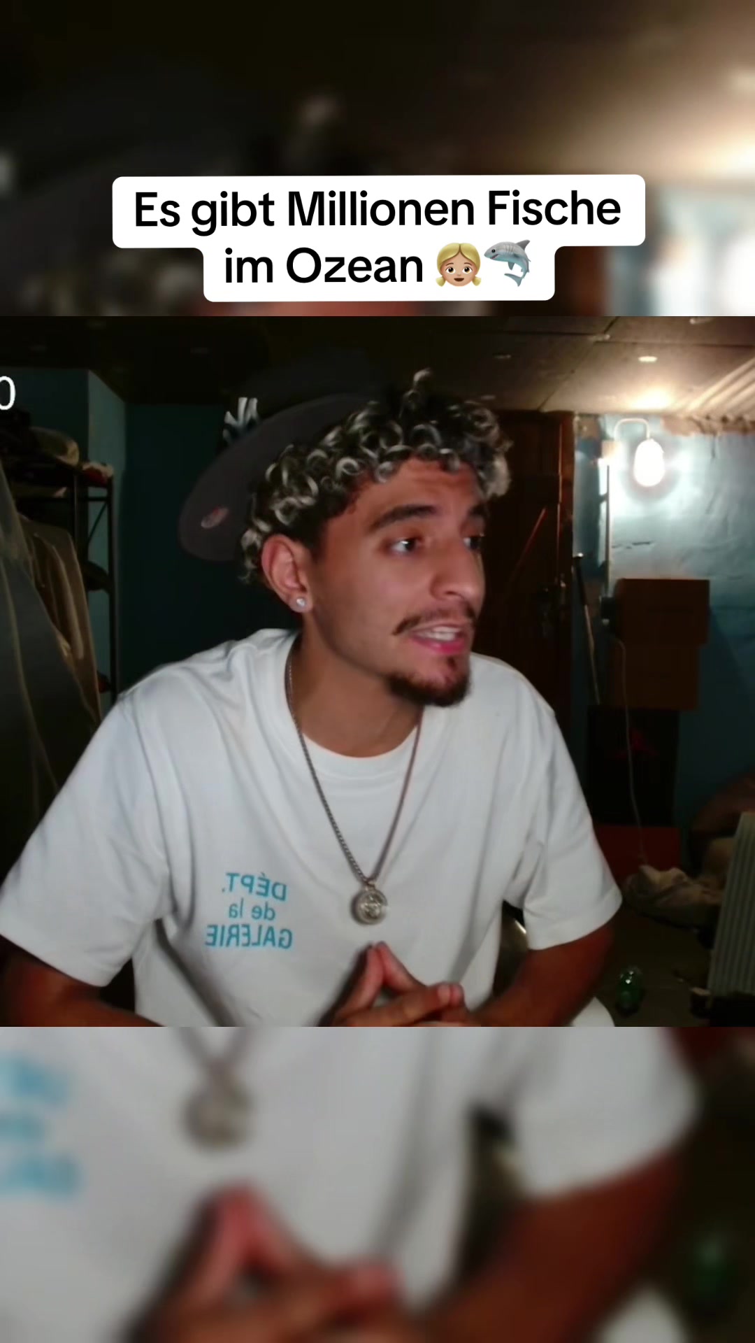 @Redu🦈