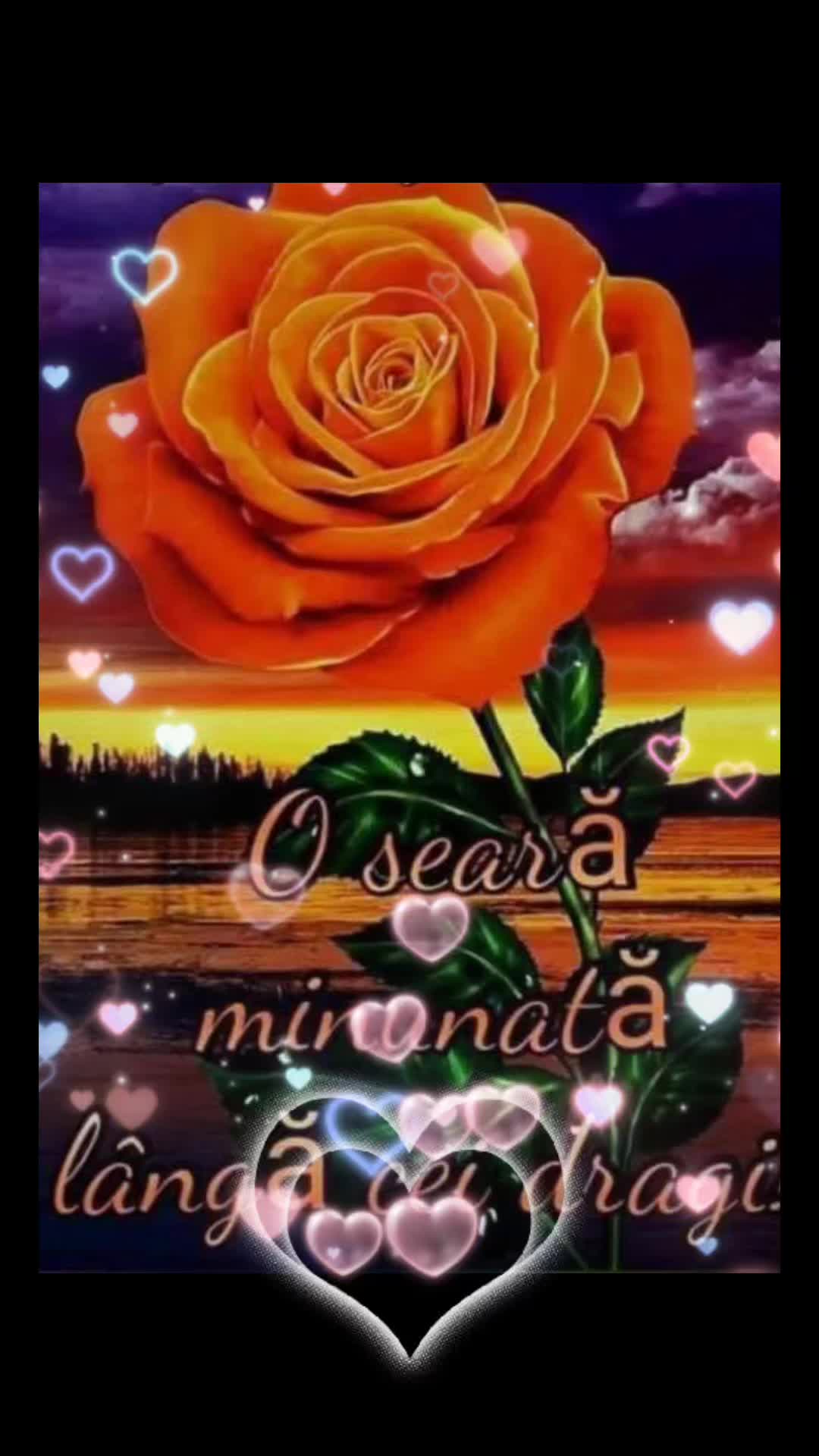 @Ruxandra Borcea