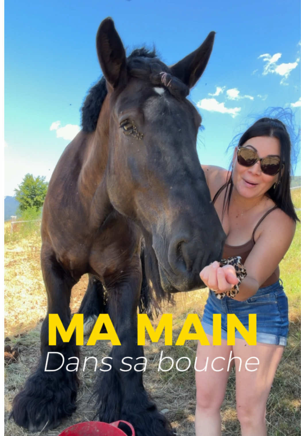 @Untraitdecheval
