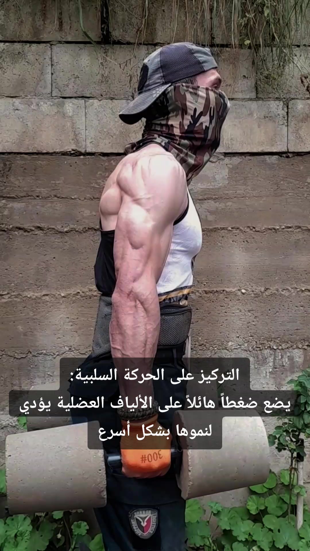 @عمرmerlaya2
