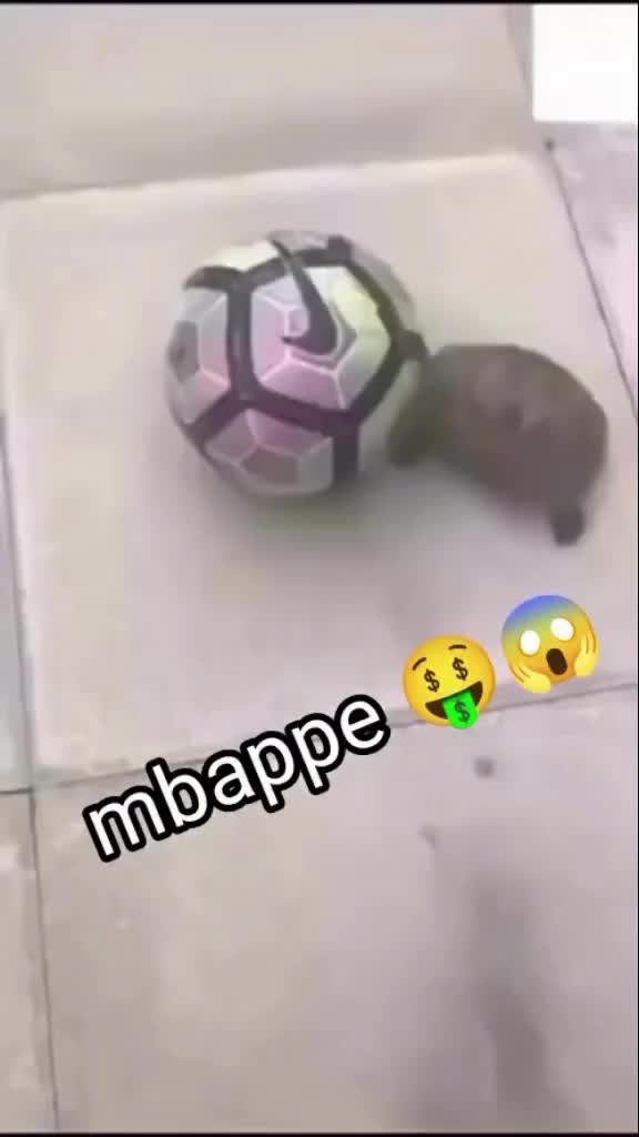 @Xaji