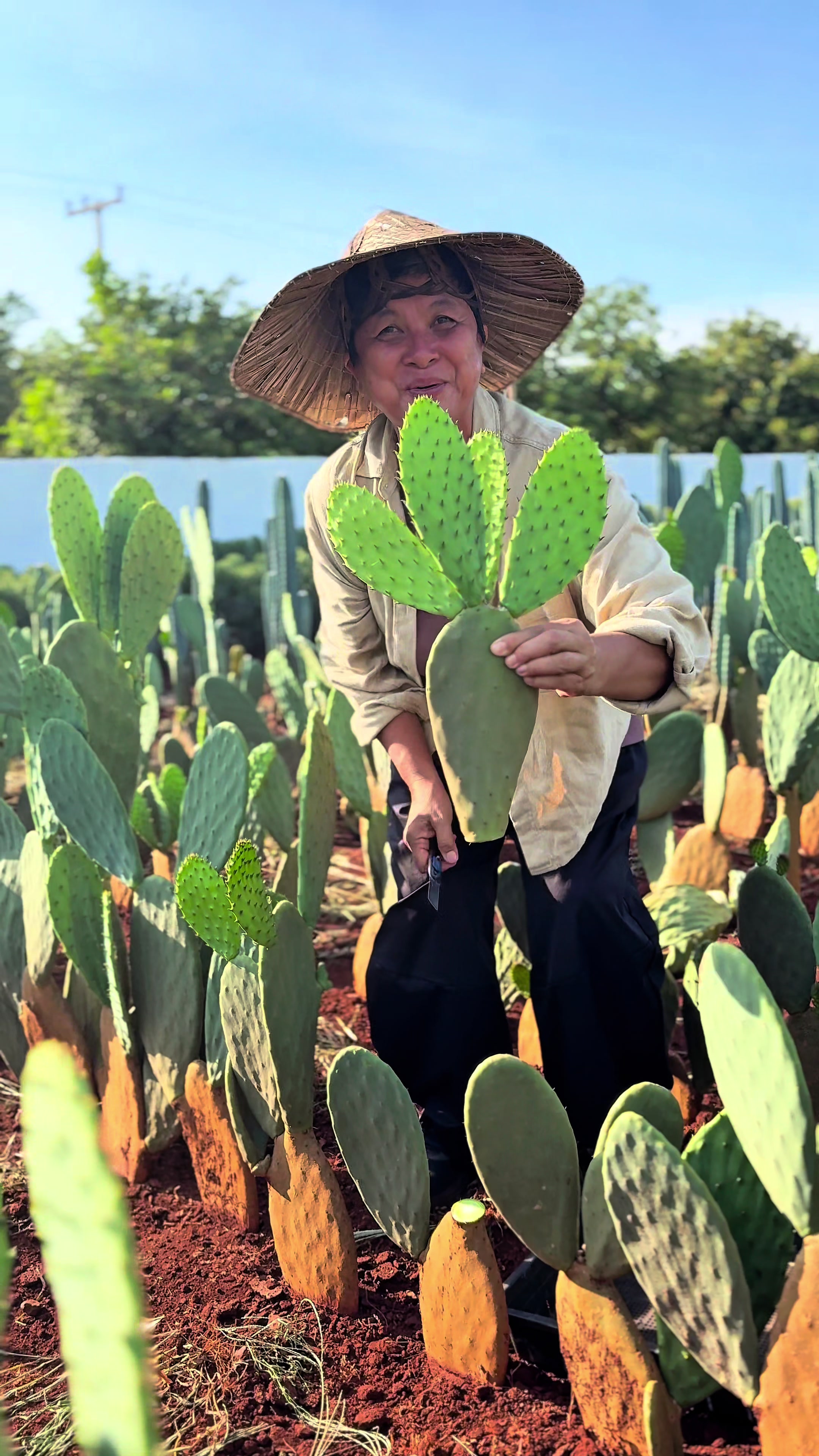 @ไร่วันยังขำ Oneyoungkham farm