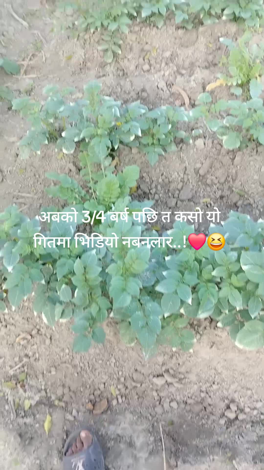 @Sulochannnn 💫❤️💥