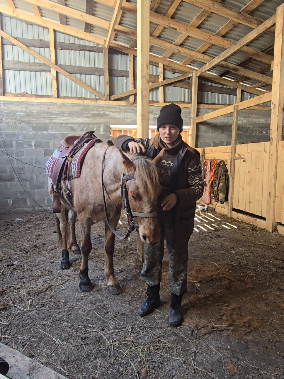 @tg: altaihorses