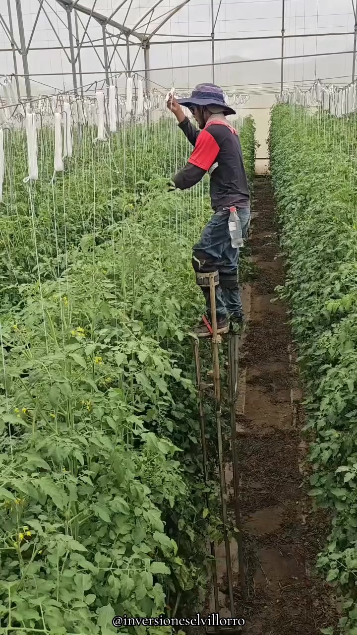 @inversioneselvillorro