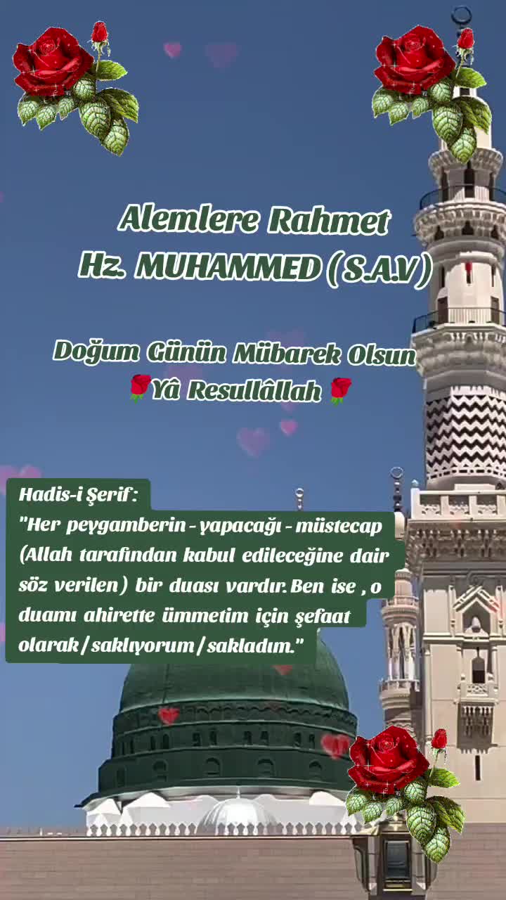 @🇹🇷Hasretim31🇹🇷
