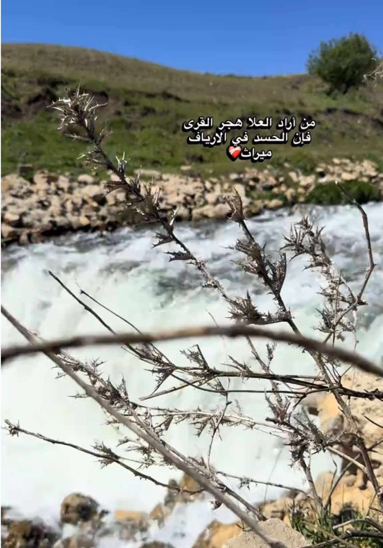 @👑المًسًرًارًةً👑
