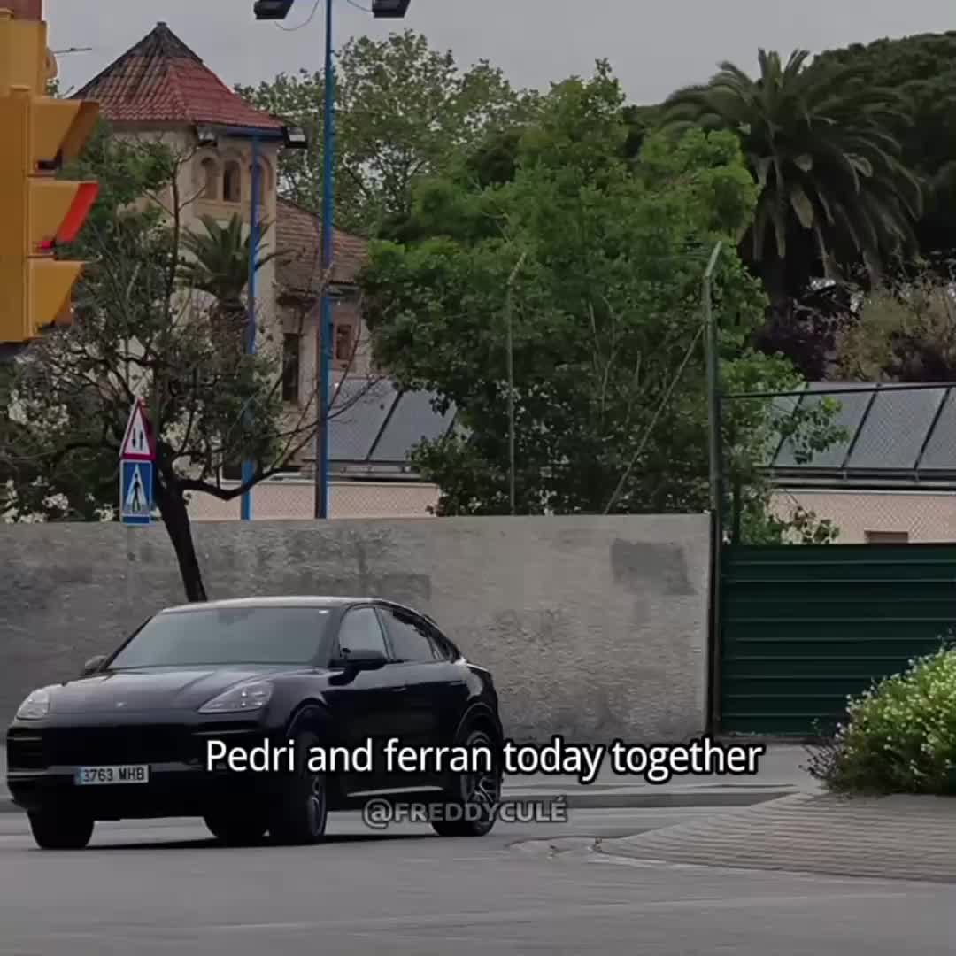 @aledriworld