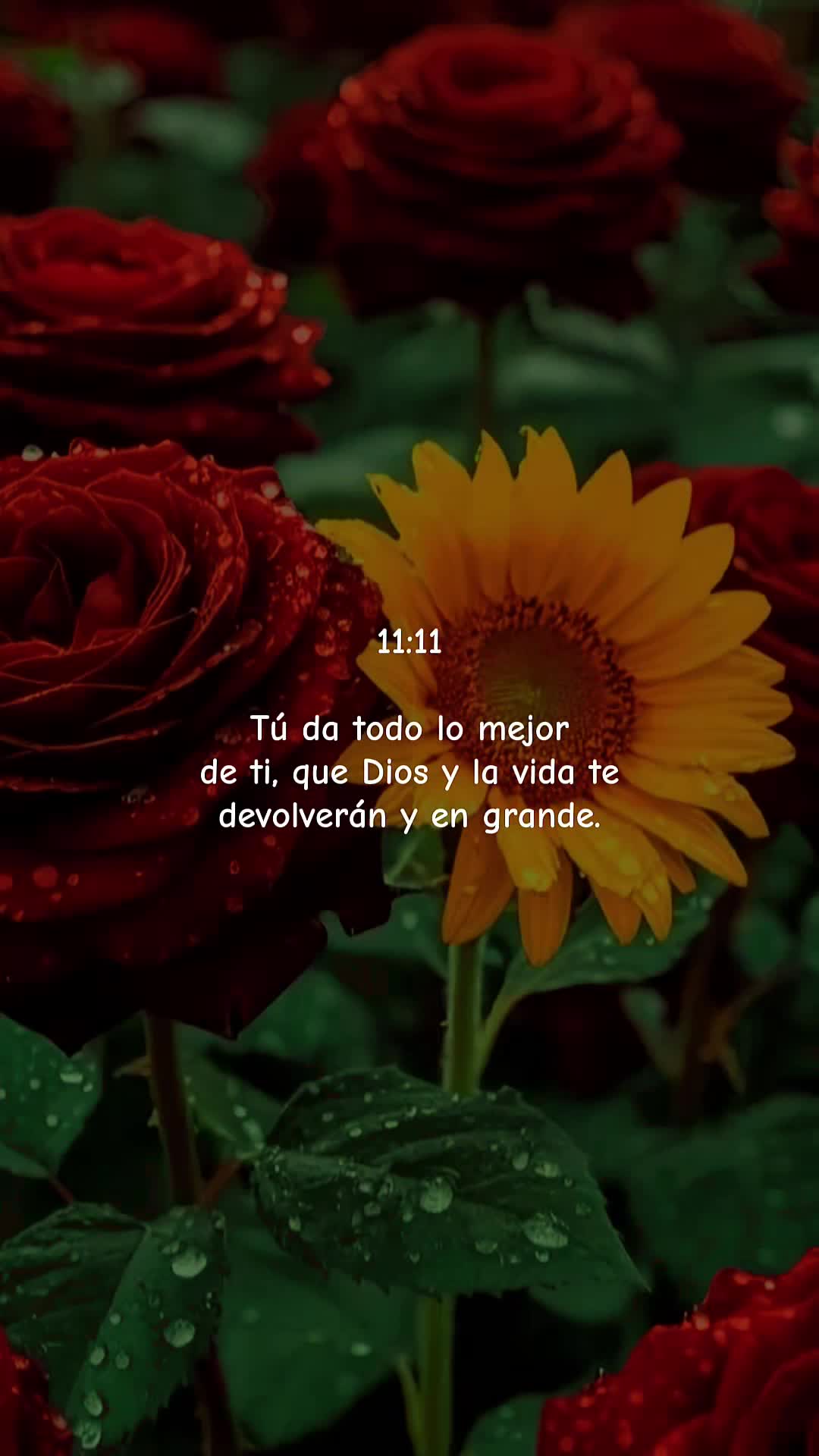 @Maribel 🌻