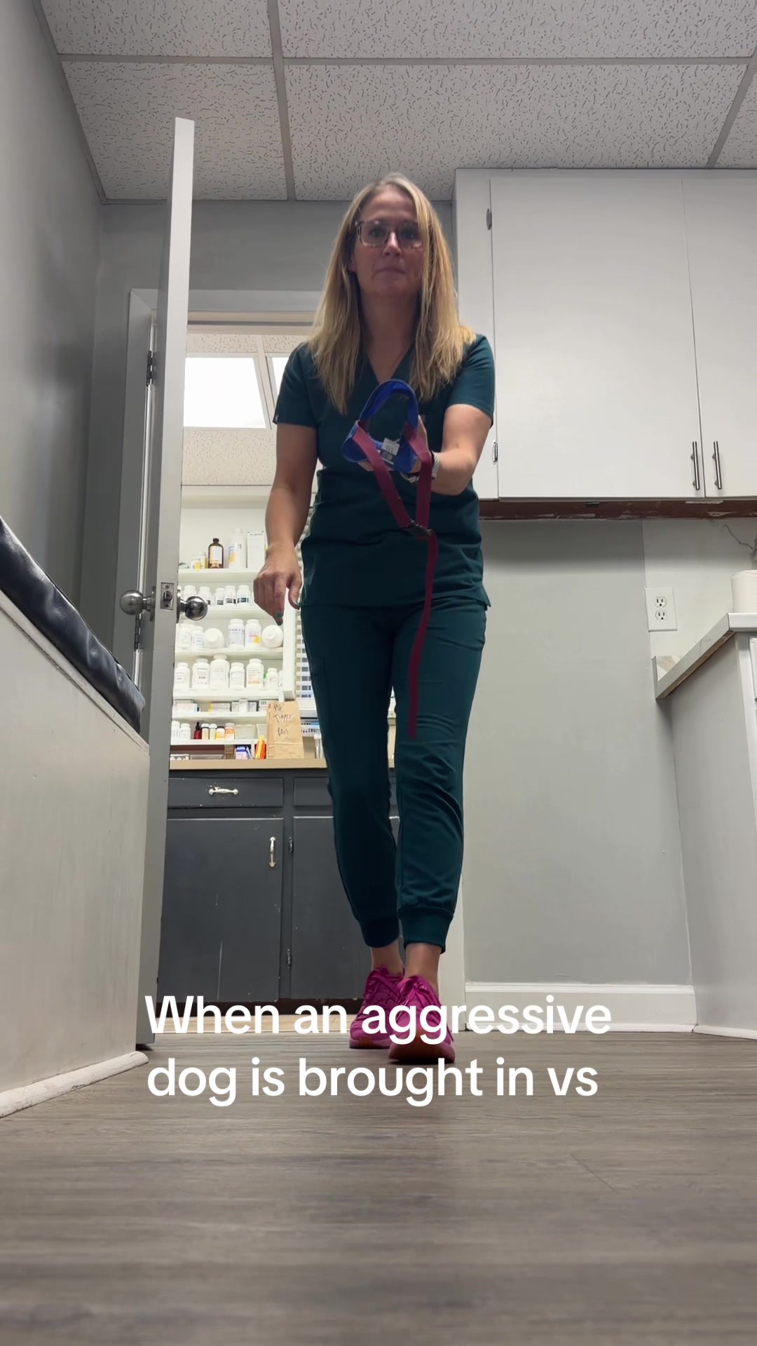 @Bush Animal Clinic
