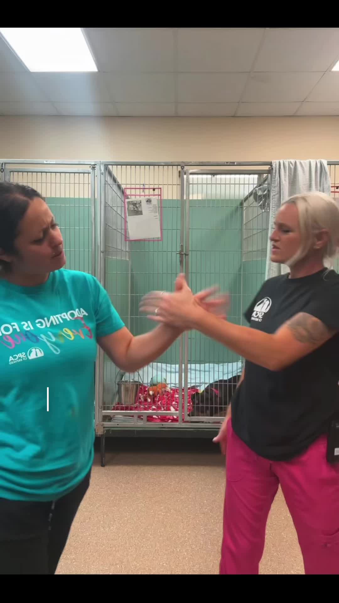 @2vettechs