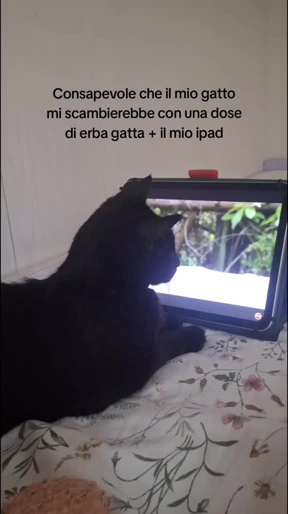 @Anna