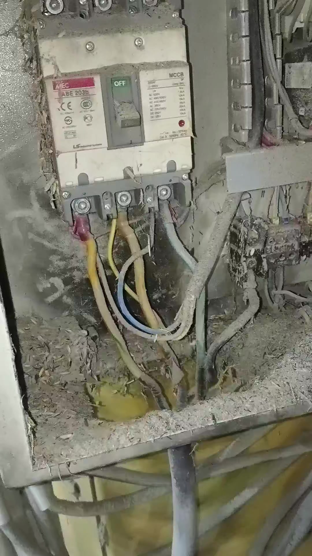 @ssfc_2758