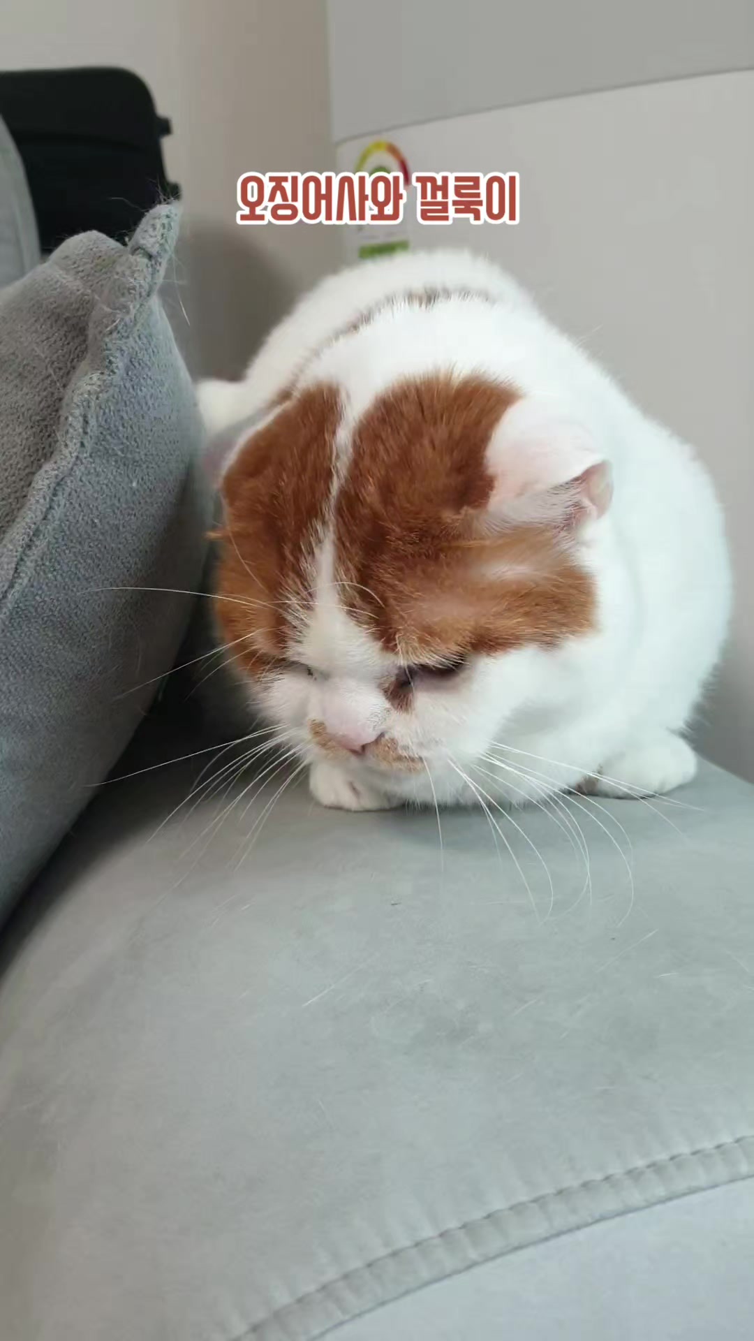 @이폭간