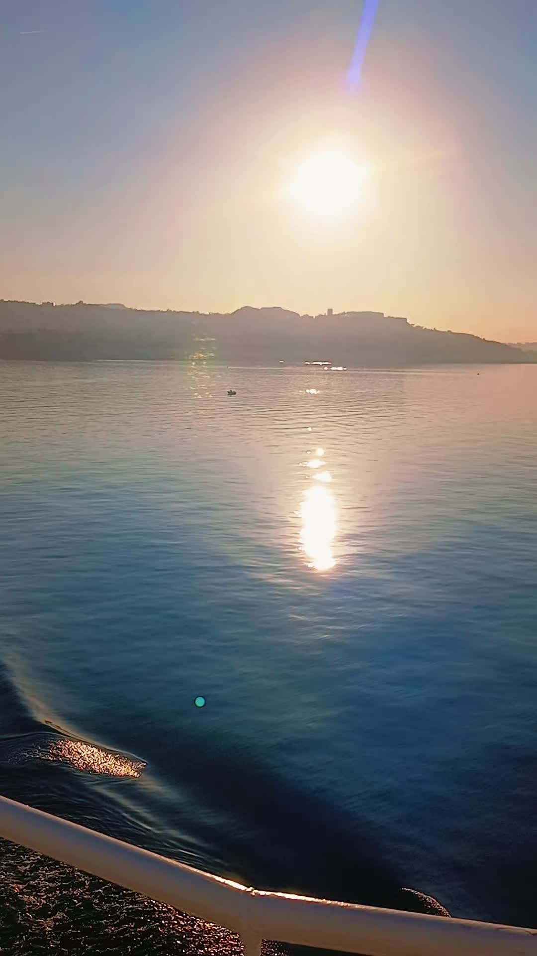 @d'angeliani