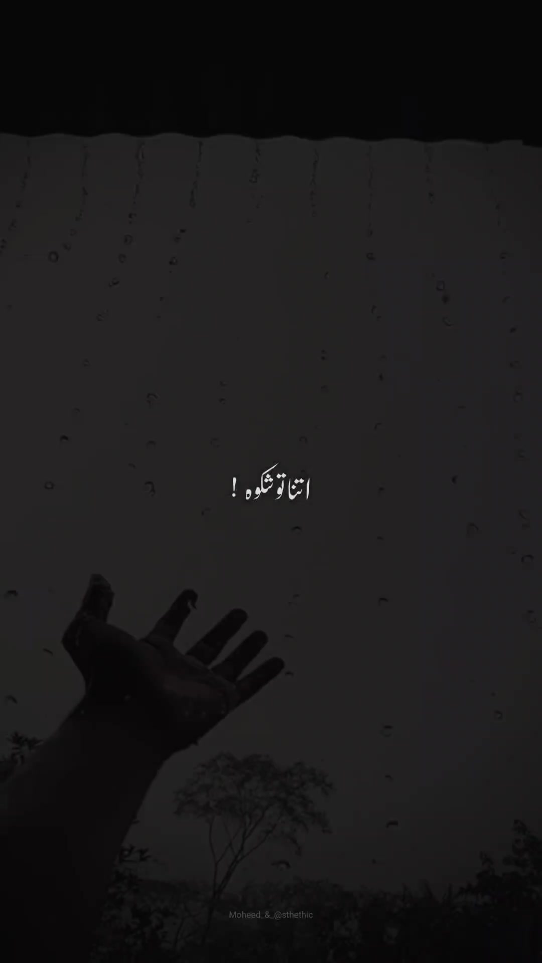 @Moheed astethic 🙈🕊️🤭