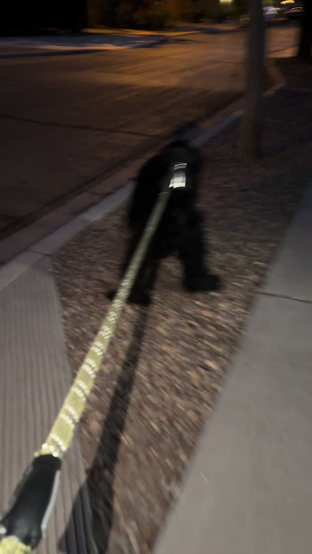 @Fiona Walks