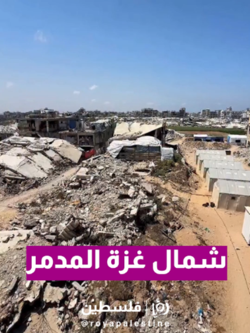 @Royapalestine رؤيا فلسطين
