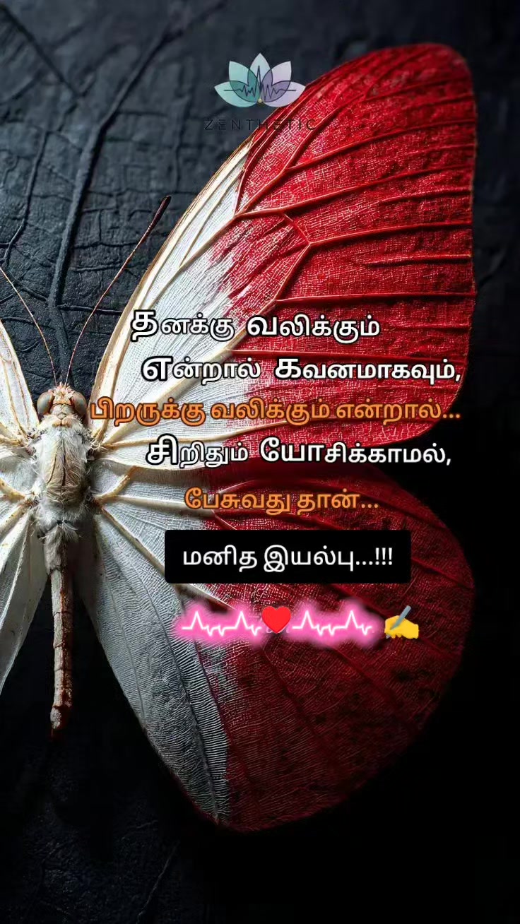 @๐ญโ๐๐๐๐๐ โ๐ฆโHอฆฬฅMอฆฬฅEอฆฬฅDอฆฬฅ