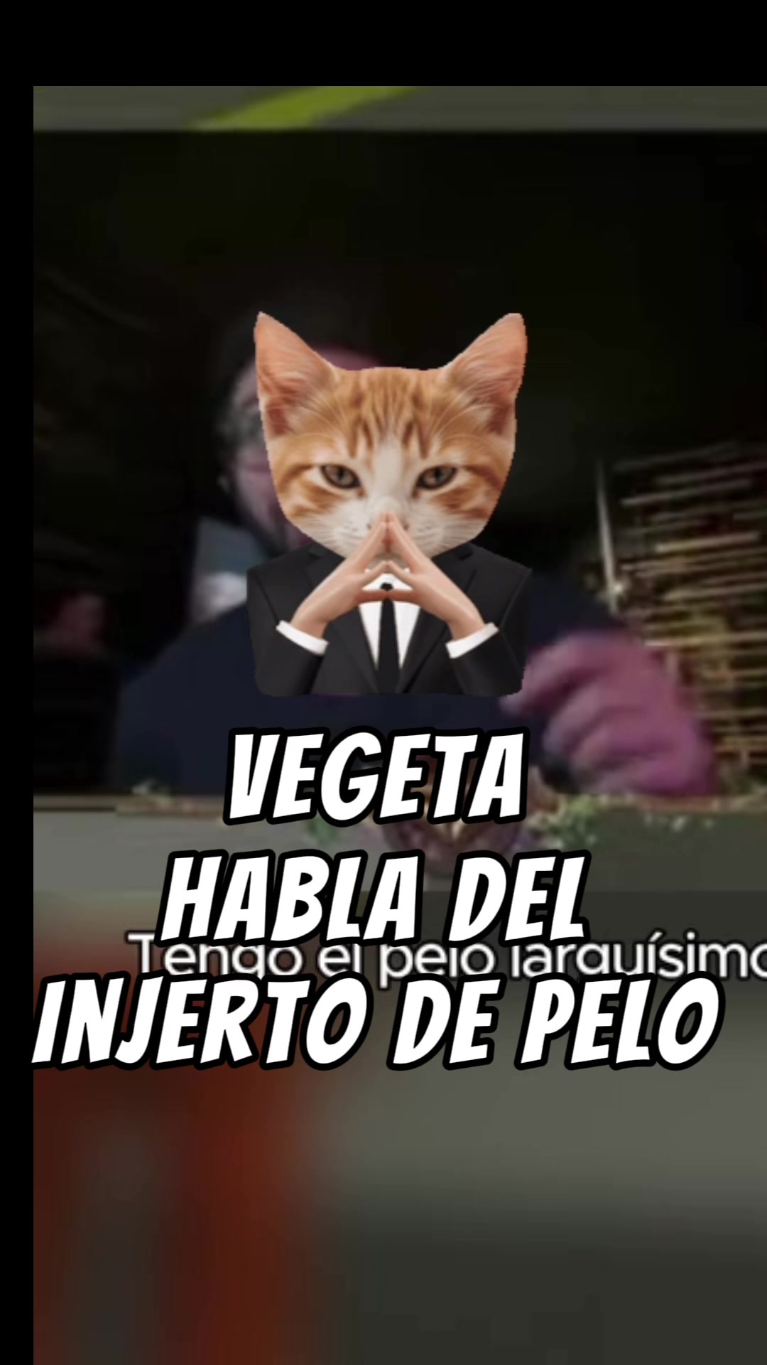 @sustillo
