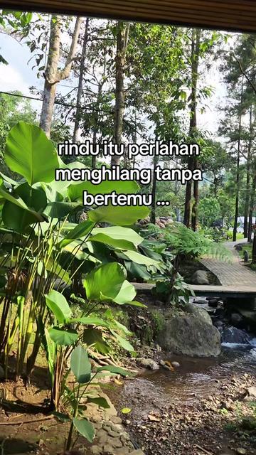 @SPƘ•Ƙetua☆Zuii