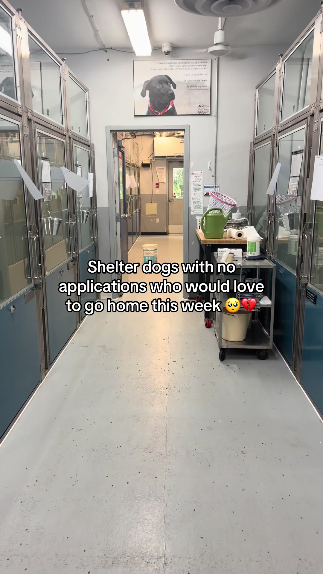 @myTinypurpose