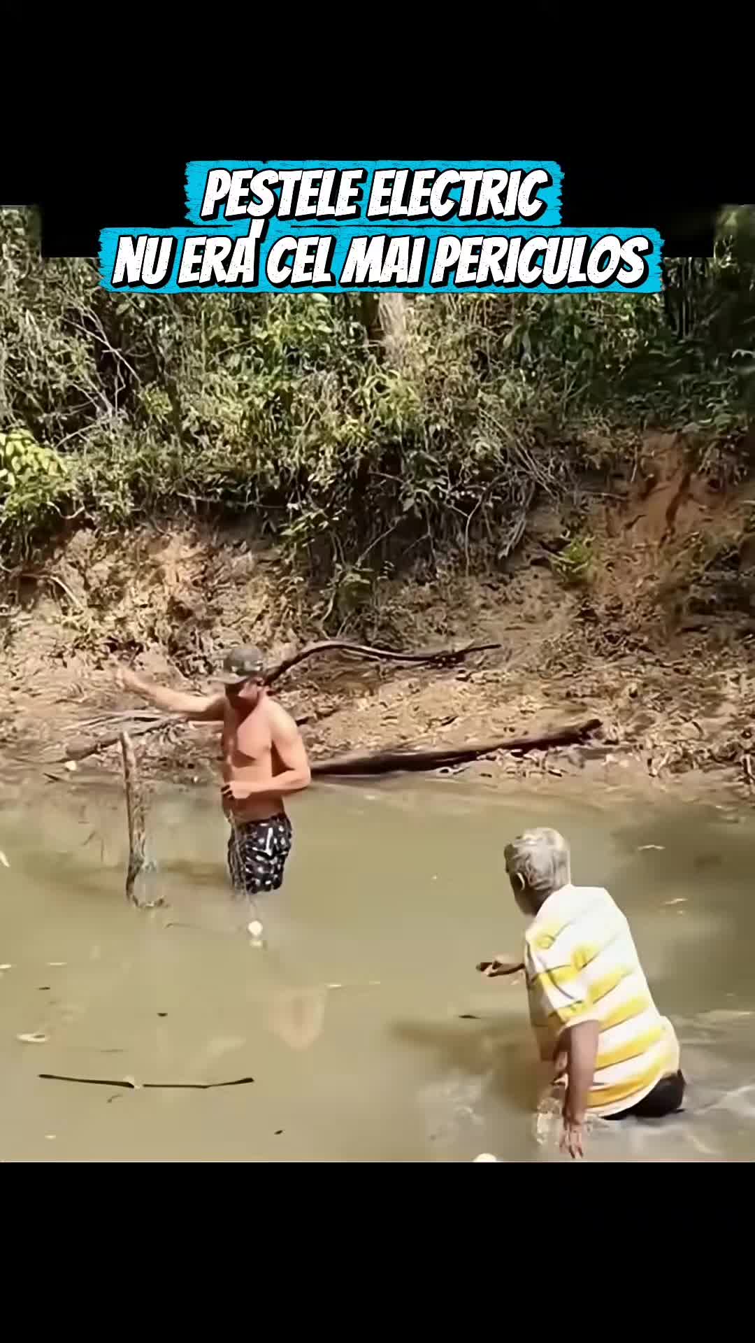 @Secretele Sănătății 💚