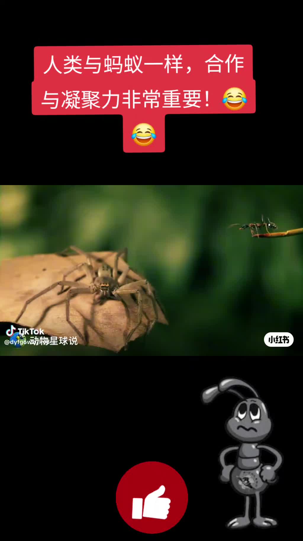 @🐲龍少帅🐲