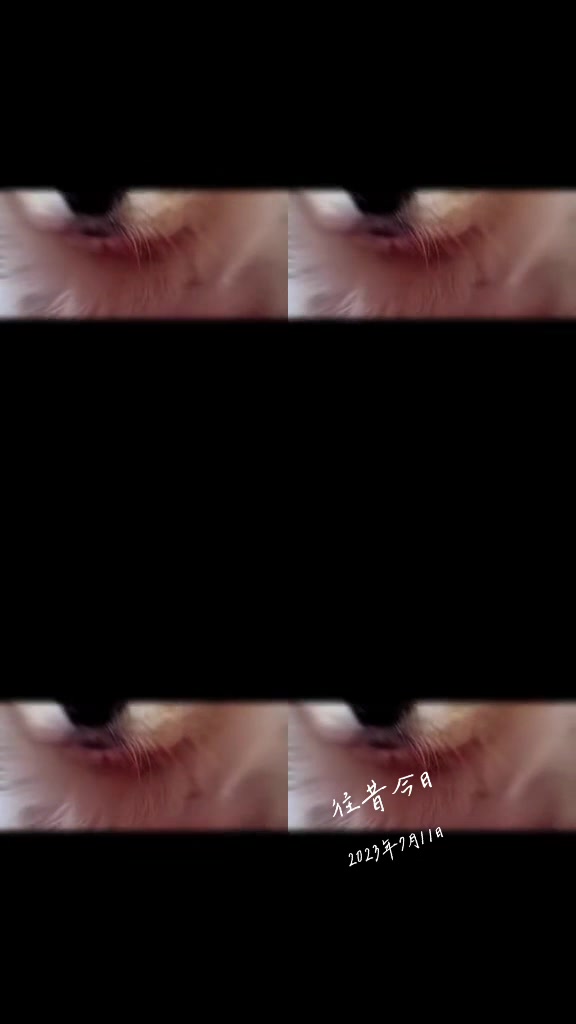 @金晶敏