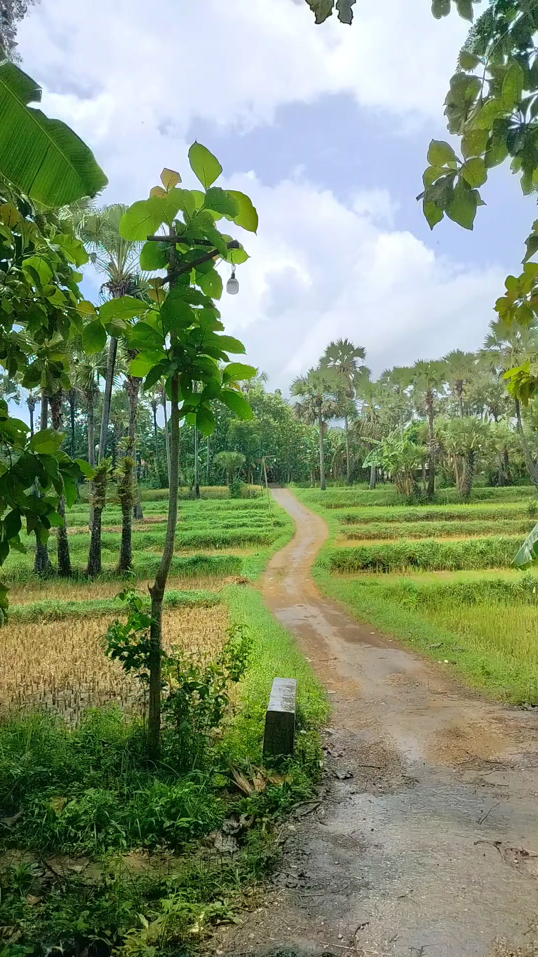 @Kang Abu unzaf❗💝 🇲🇨