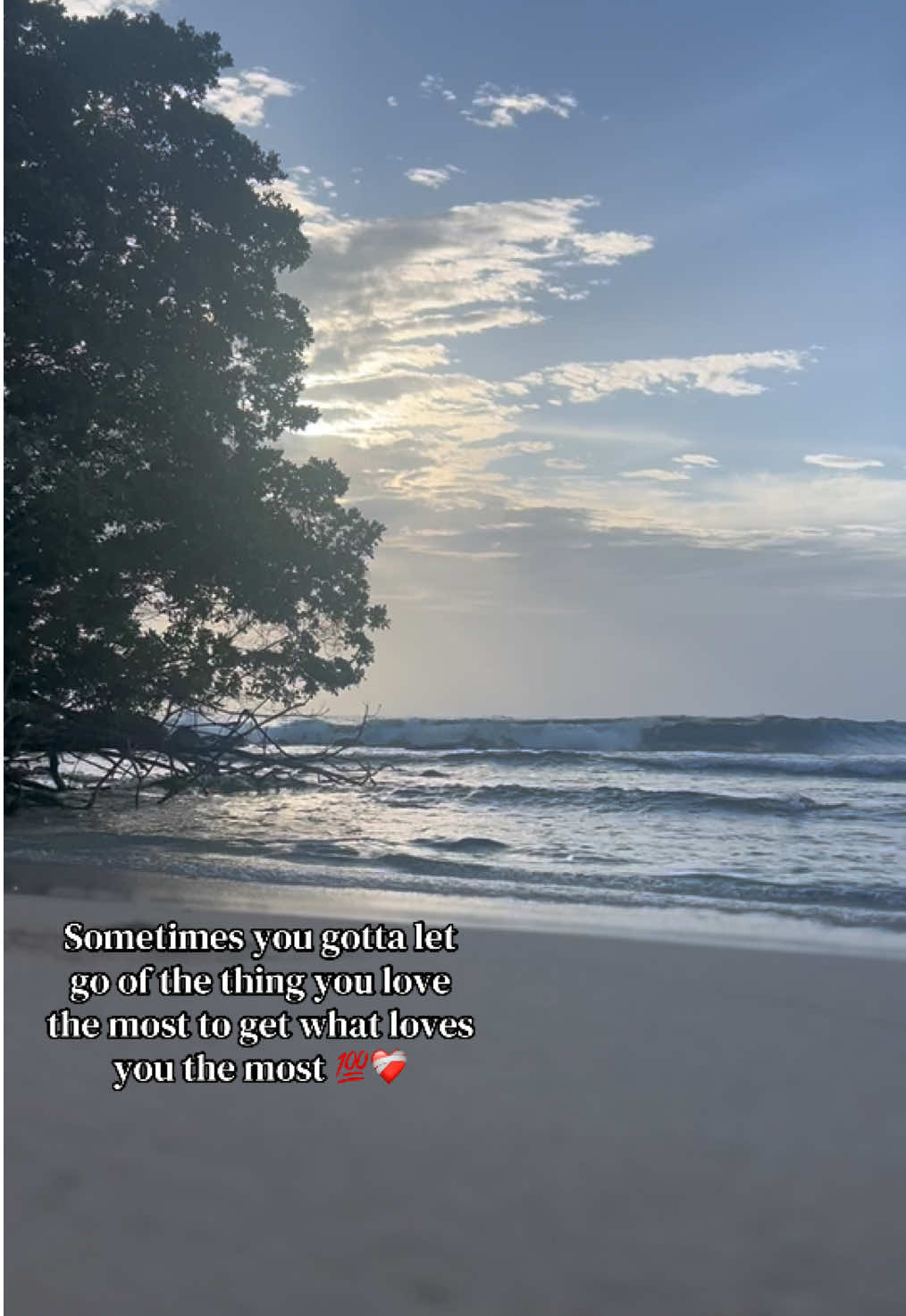 @Ameri🇻🇨