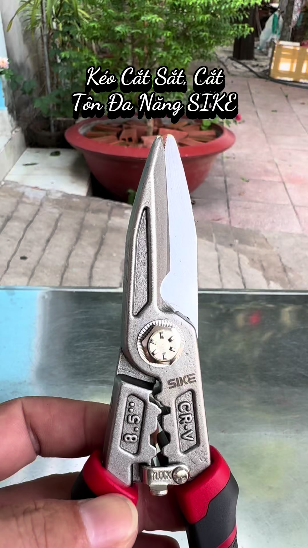 @Thường Trọng shop