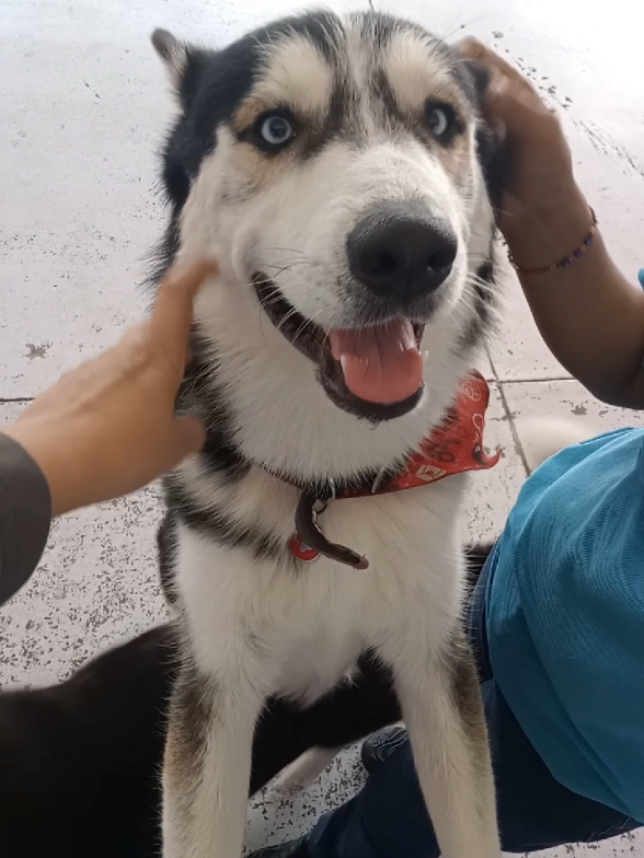 @Chocoburbujas 🐾
