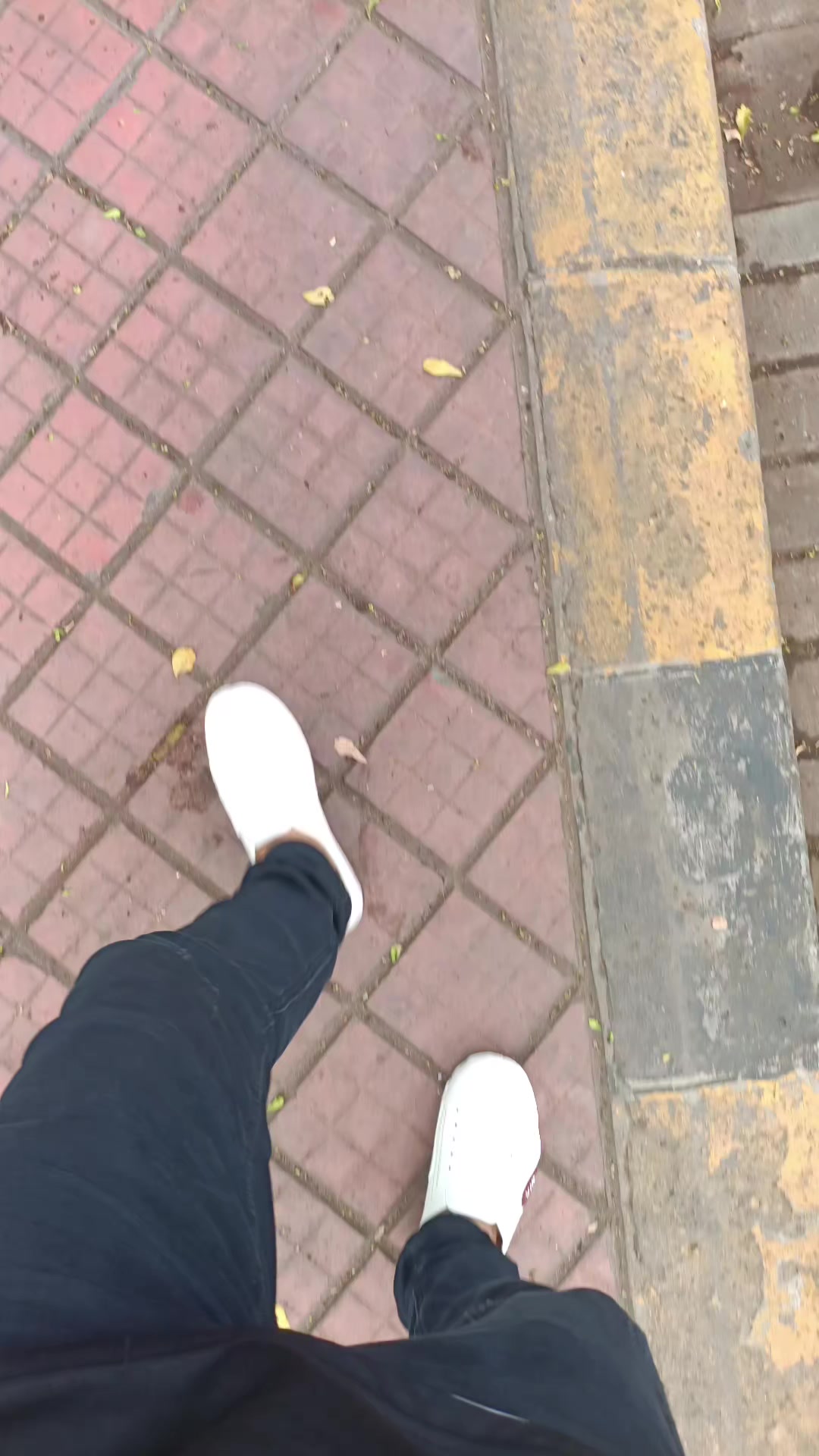 @Phúc Trần