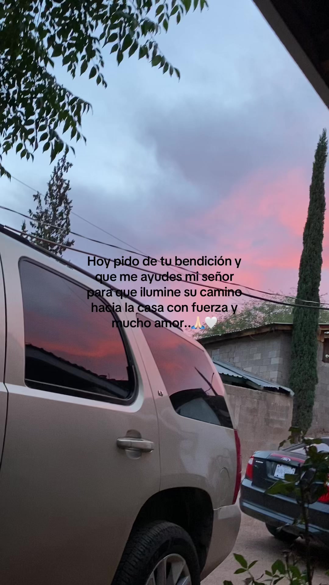 @𝐘