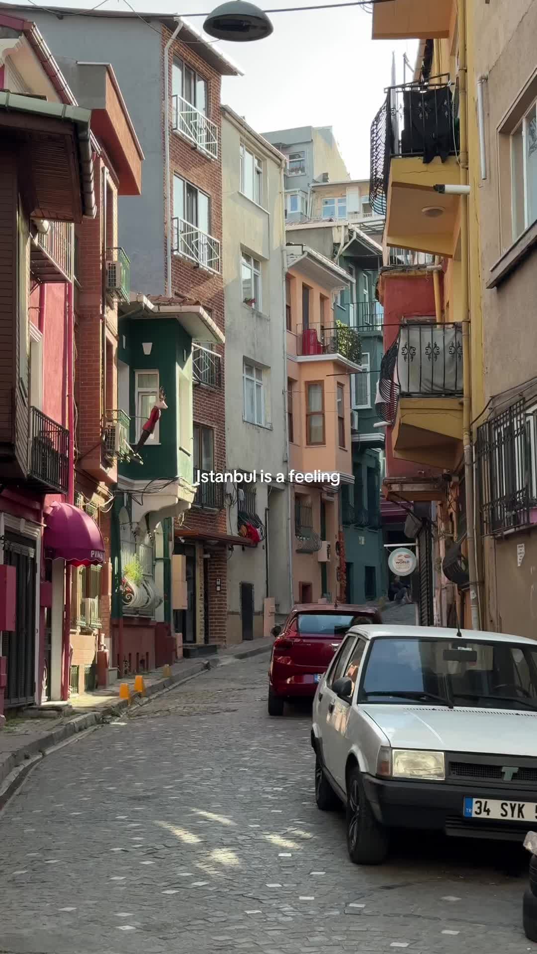 @Mimi