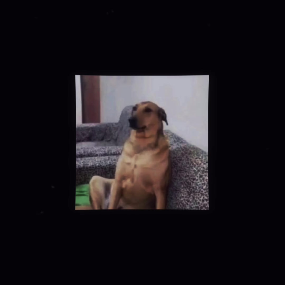 @SusyDog