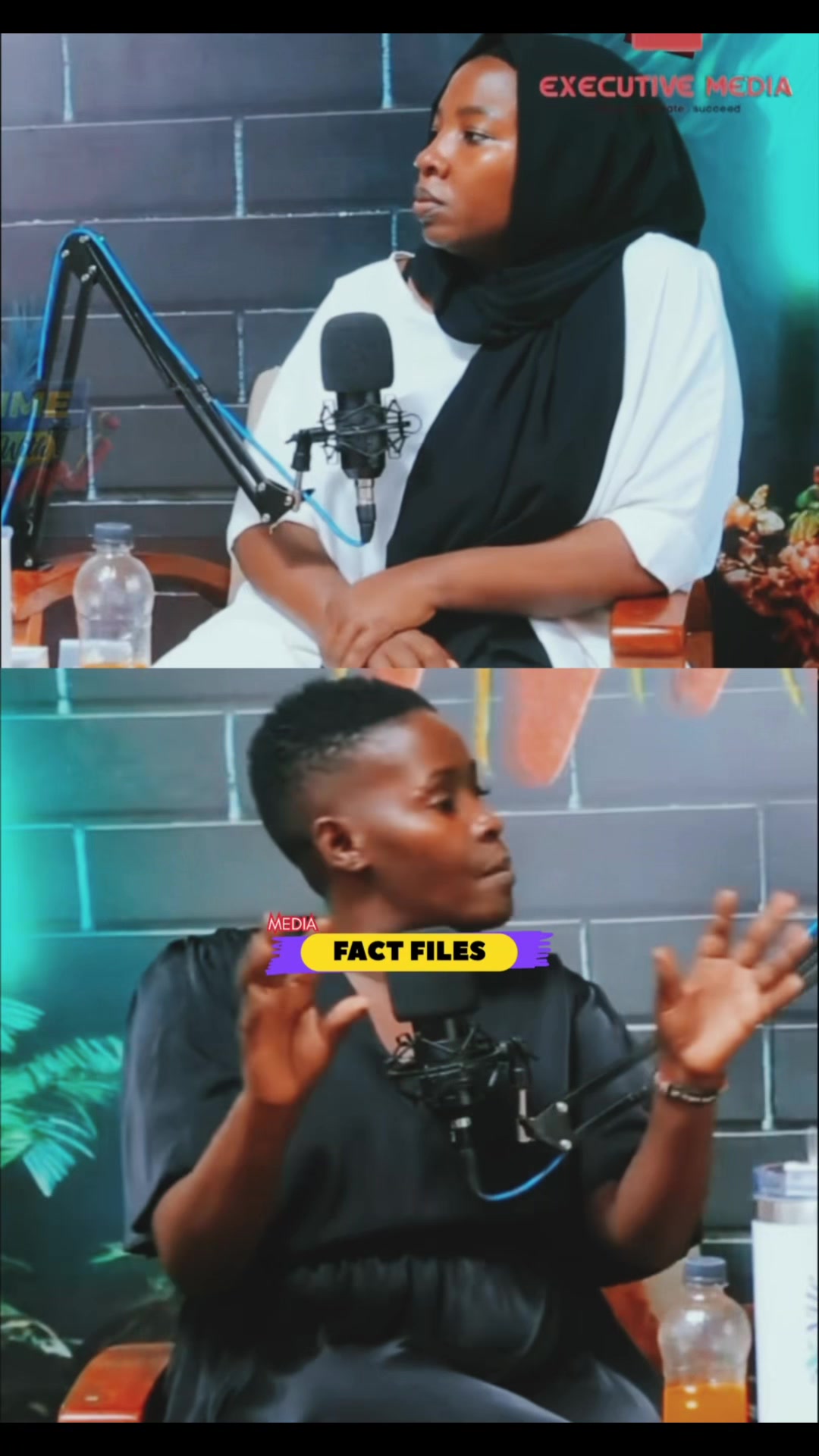 @FactFilesMedia